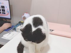 -立德动物医院·24小时中心(番禺区院区)