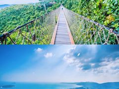 -亚龙湾热带天堂森林公园