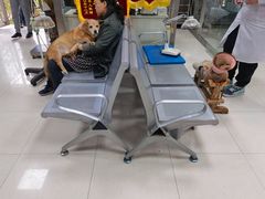 -邢大夫动物医院