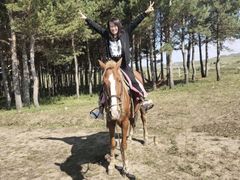 -塞罕坝国家级自然保护区