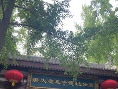 -大慈恩寺(大雁塔)