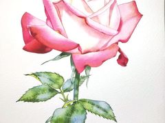 -八哥美术·成人美术画室(总校区)