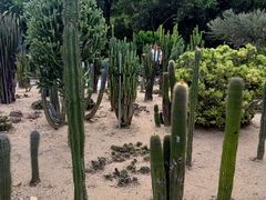-深圳仙湖植物园