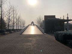 -大兴滨河森林公园