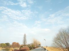 -贡湖湾湿地公园