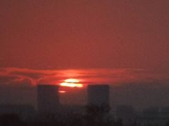 -合肥滨湖国家森林公园