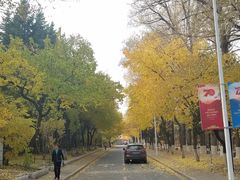 -吉林大学(南岭校区)