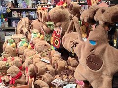 -酷乐潮玩(颛桥万达店)