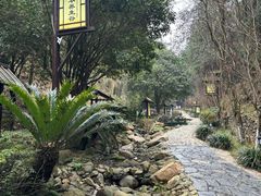 -明月山天沐温泉度假村