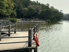 -雀儿山公园