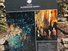 -怀托摩萤火虫洞