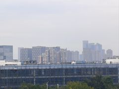 -飞凤山奥体公园