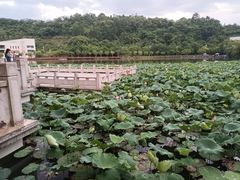 -福州大学(旗山校区)