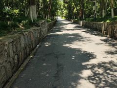 -大蜀山国家森林公园