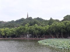 -杭州植物园