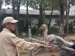 -瑞穗牧场