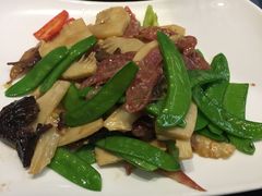 -高第街56号餐厅(银座商城玉函店)