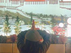 -布达拉宫