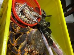 -海九澎湖海鲜餐厅