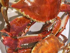 -胖大嫂渔家排档·全海景餐厅(渔村店)