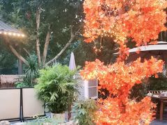 -后湖小院·乡野田园菜