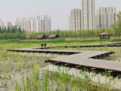 -永定河休闲森林公园