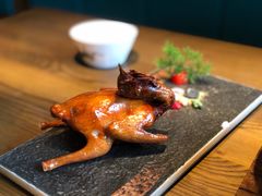 红烧鸽-大鸽饭(岗顶店)