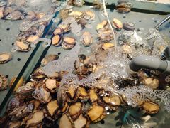 -海天盛宴潮汕蒸汽海鲜高端自助形象店
