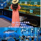 海鲜爱好者必看！新鲜的海鲜菜品让你忍不住垂涎三尺！ 