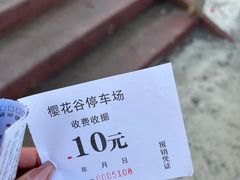 -绵阳盛世樱花悠乐谷