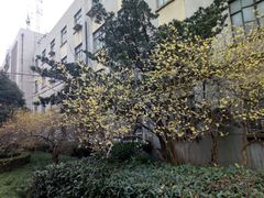 -同济大学(沪西校区)