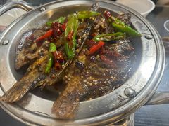 -小杨酒家(华苑小区店)
