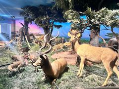 -国家自然博物馆