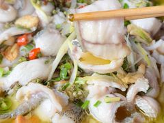 -金三可市井水煮鱼(金碧园店)