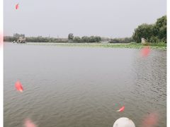 -大兴滨河森林公园