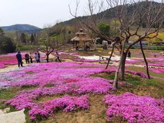 -棒棰岛宾馆景区