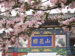 -樱花山风景区