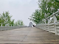 -大兴滨河森林公园