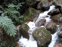 -赤水丹霞旅游区·佛光岩