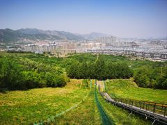 -原山国家森林公园