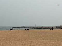 -日照灯塔风景区