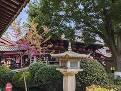 -枫桥景区
