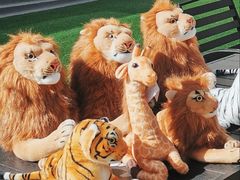 -栾川竹海野生动物园