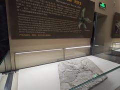 -辽宁古生物博物馆