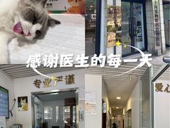 -守诺宠物医院·眼科· 特色牙科·异宠专科(虹口店)