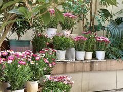 -Beans Solo豆号咖啡(百家湖花园店)