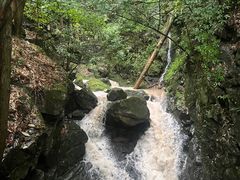 -藏龙百瀑风景区