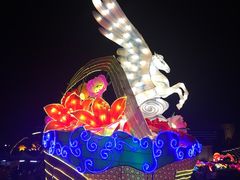 -映月湖公园