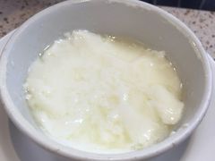 姜撞奶-义顺牛奶公司(新马路老店)