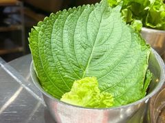 -炽城·烤肉名家(鸿达中央广场店)